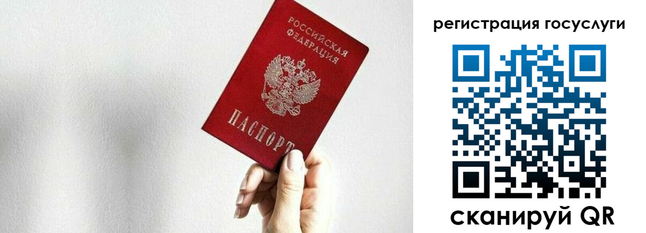 прописка гарантия в Рязанской области